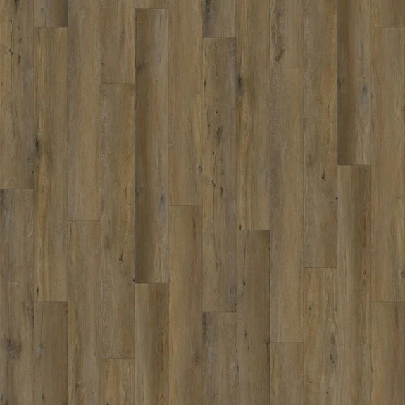 Marquis Product Platinum Plus Series 03 Fallow 33.81 Sq Ft