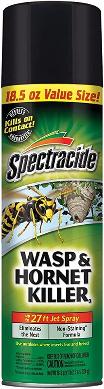 Spectracide Wasp & Hornet Killer 18.5oz