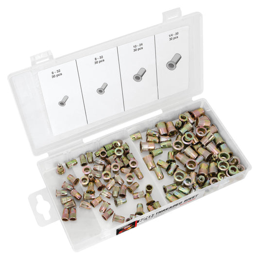 Performance Tool SAE Threaded Rivet Assortment