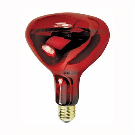 Feit Infra Red Bulb 250W