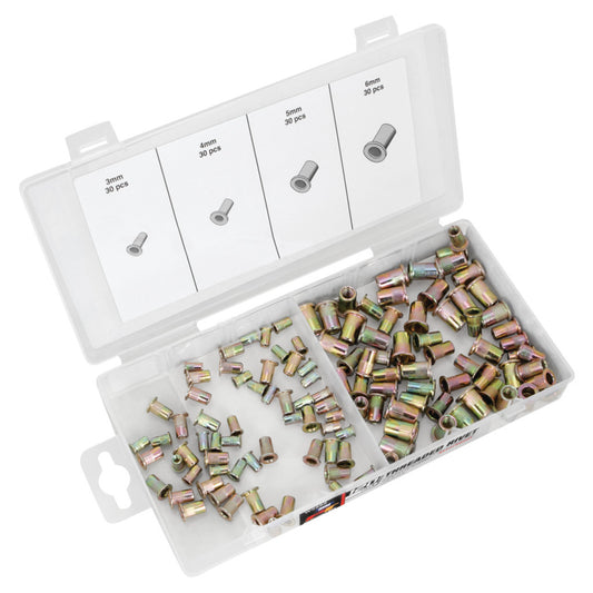 Performance Tool Metric Threaded Rivet Assortment