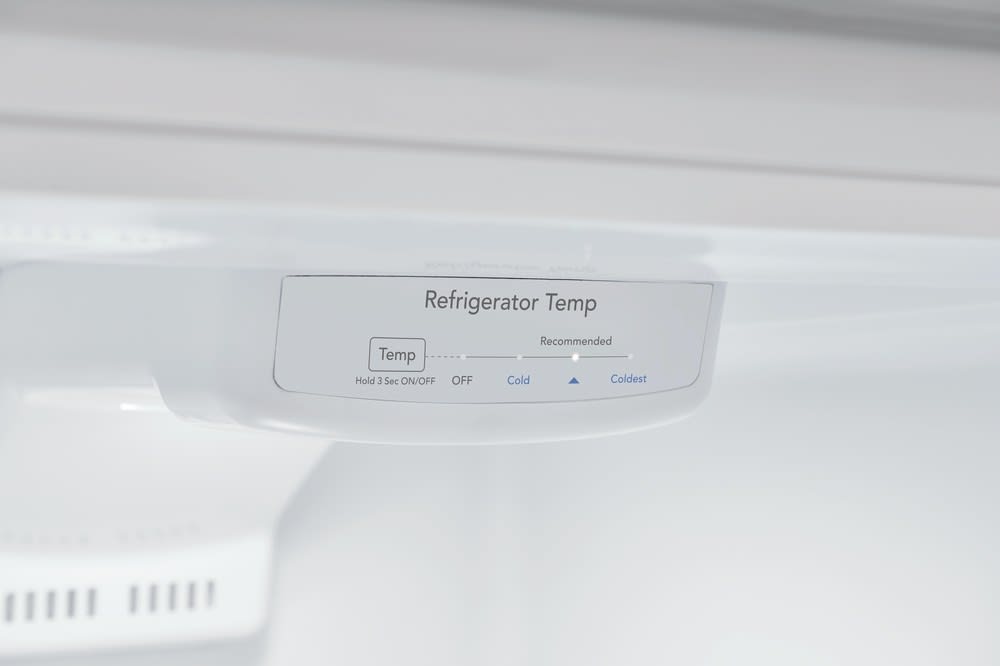 Frigidaire Top Mount Refrigerator 10.1 Cubic Feet White